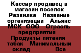 Кассир-продавец в магазин поселок Развилка › Название организации ­ Альянс-МСК, ООО › Отрасль предприятия ­ Продукты питания, табак › Минимальный оклад ­ 30 000 - Все города Работа » Вакансии   . Крым,Евпатория